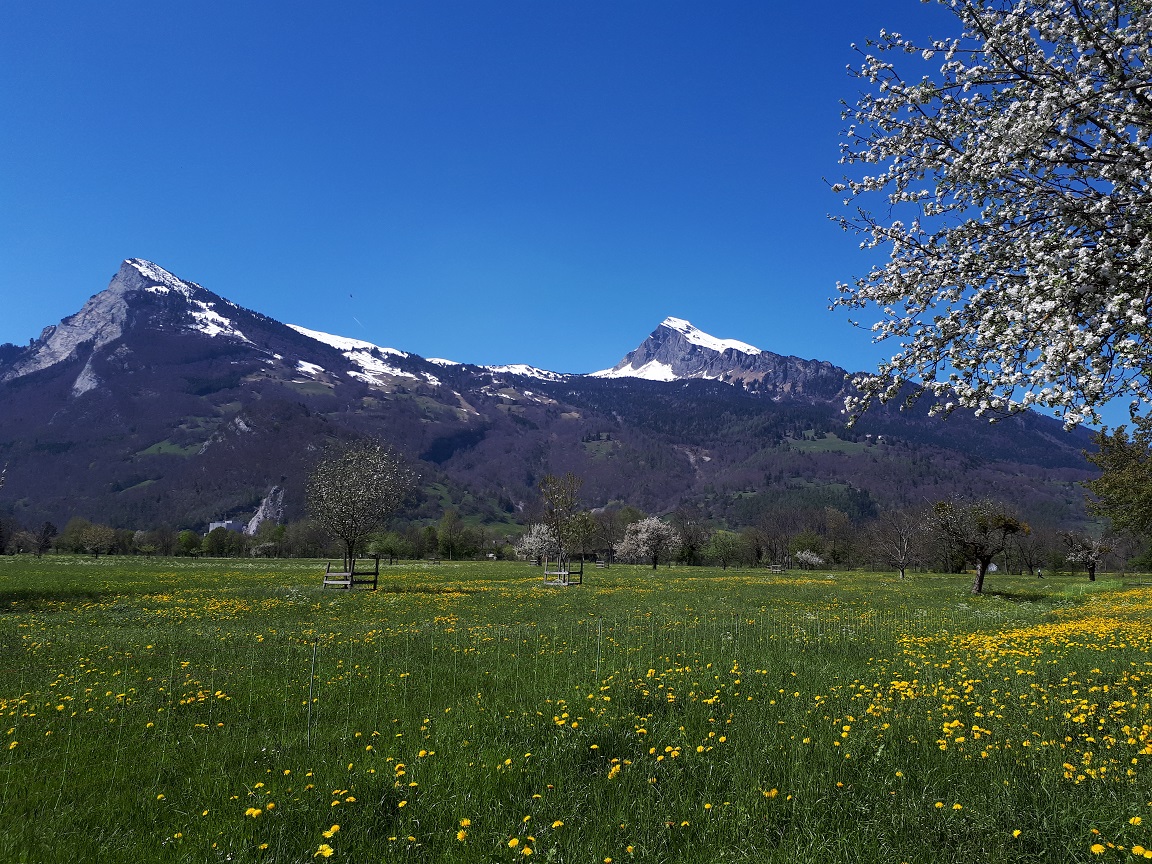 Tektonische Verwerfungen